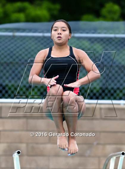 Thumbnail 1 in CIF SJS Girls Diving Finals photogallery.