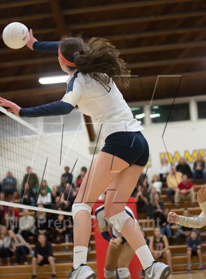 Thumbnail 2 in Harvard-Westlake @ Notre Dame (CIF SS D1A Semifinals) photogallery.