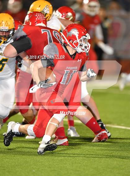 Thumbnail 2 in Boyd @ Ponder photogallery.