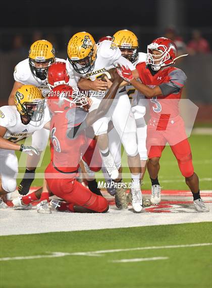 Thumbnail 3 in Boyd @ Ponder photogallery.