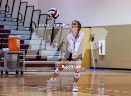 Thumbnail 2 in Paradise @ Callisburg photogallery.