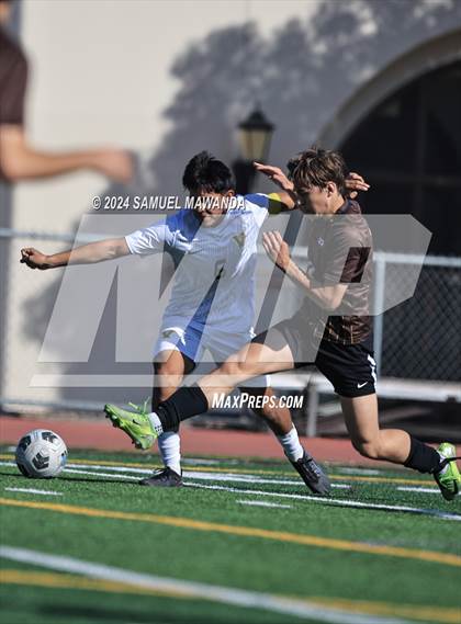 Thumbnail 1 in Crespi vs Ventura photogallery.