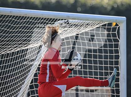 Thumbnail 3 in Crespi vs Ventura photogallery.