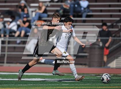 Thumbnail 2 in Crespi vs Ventura photogallery.