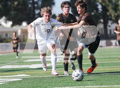 Thumbnail 2 in Crespi vs Ventura photogallery.