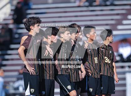 Thumbnail 1 in Crespi vs Ventura photogallery.