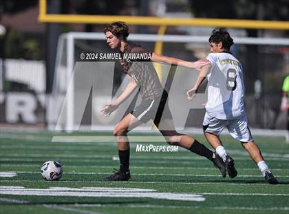Thumbnail 2 in Crespi vs Ventura photogallery.