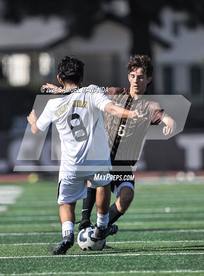 Thumbnail 1 in Crespi vs Ventura photogallery.