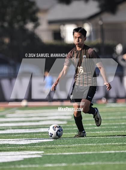 Thumbnail 3 in Crespi vs Ventura photogallery.
