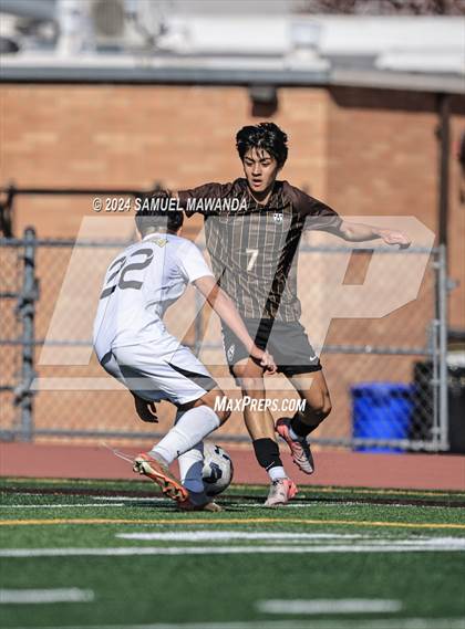 Thumbnail 1 in Crespi vs Ventura photogallery.