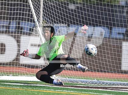 Thumbnail 3 in Crespi vs Ventura photogallery.