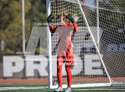 Thumbnail 3 in Crespi vs Ventura photogallery.