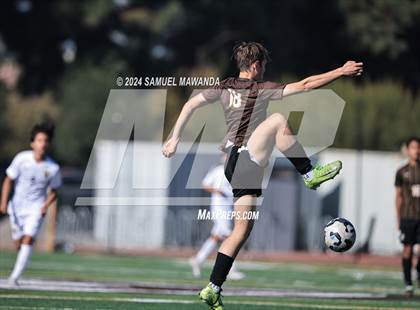 Thumbnail 1 in Crespi vs Ventura photogallery.