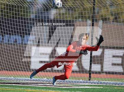 Thumbnail 2 in Crespi vs Ventura photogallery.