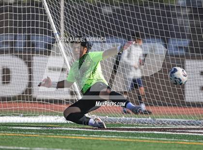 Thumbnail 3 in Crespi vs Ventura photogallery.