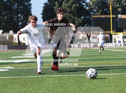 Thumbnail 3 in Crespi vs Ventura photogallery.