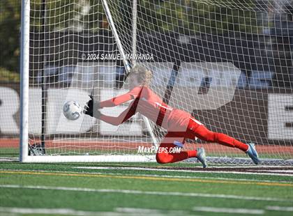 Thumbnail 3 in Crespi vs Ventura photogallery.