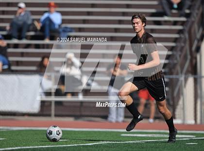 Thumbnail 1 in Crespi vs Ventura photogallery.