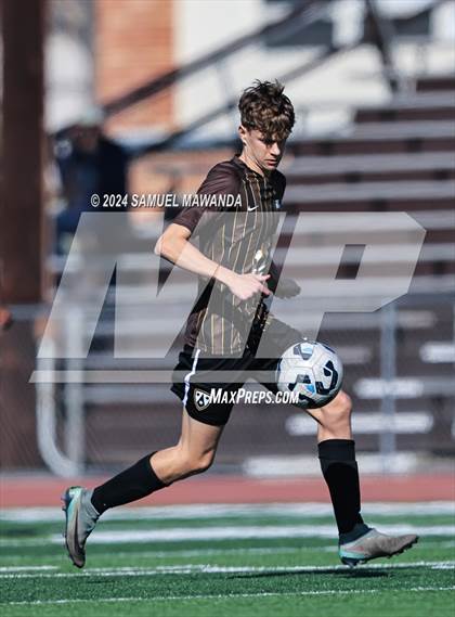 Thumbnail 1 in Crespi vs Ventura photogallery.