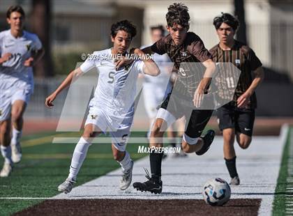 Thumbnail 1 in Crespi vs Ventura photogallery.
