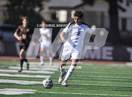 Thumbnail 2 in Crespi vs Ventura photogallery.