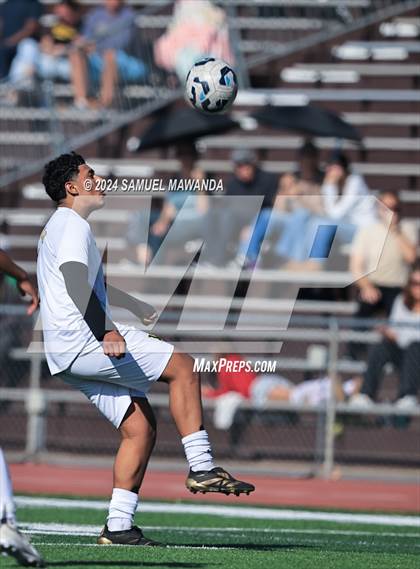 Thumbnail 3 in Crespi vs Ventura photogallery.