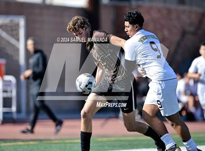 Thumbnail 3 in Crespi vs Ventura photogallery.