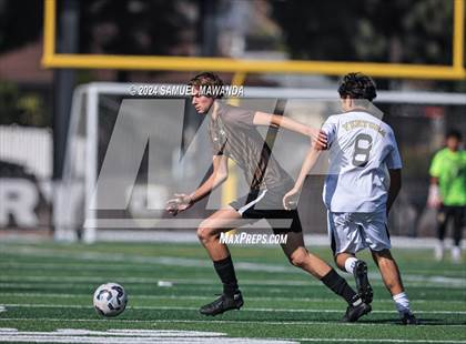 Thumbnail 1 in Crespi vs Ventura photogallery.