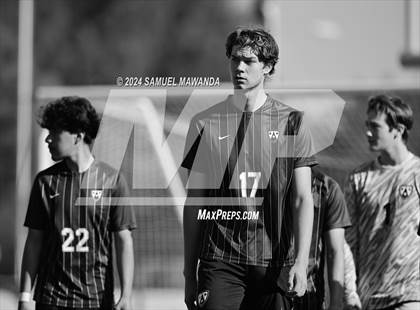 Thumbnail 3 in Crespi vs Ventura photogallery.