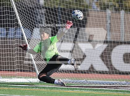 Thumbnail 3 in Crespi vs Ventura photogallery.
