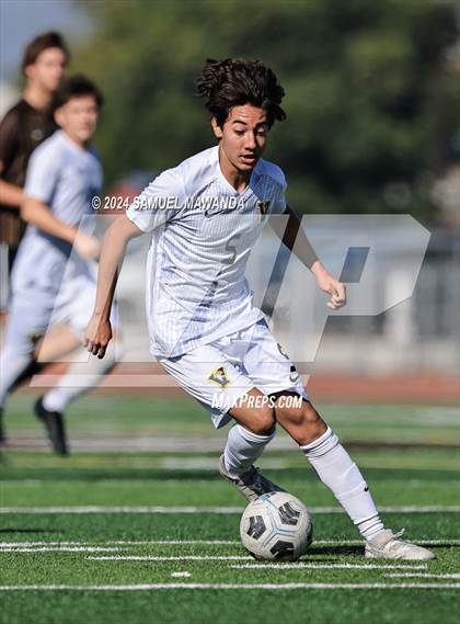 Thumbnail 1 in Crespi vs Ventura photogallery.