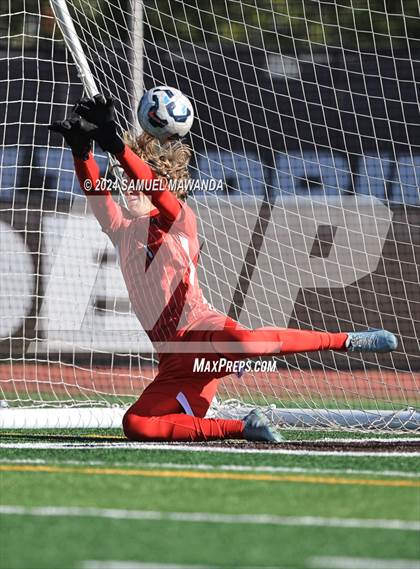 Thumbnail 2 in Crespi vs Ventura photogallery.