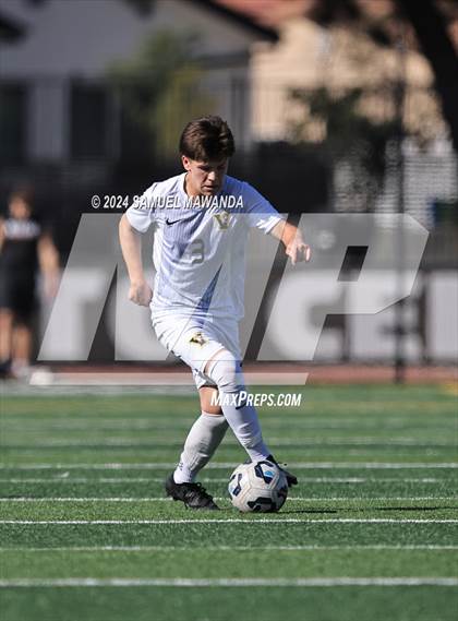 Thumbnail 3 in Crespi vs Ventura photogallery.