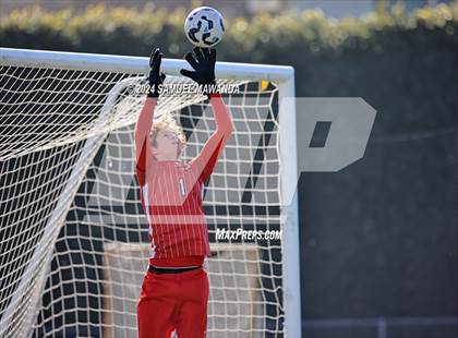 Thumbnail 2 in Crespi vs Ventura photogallery.