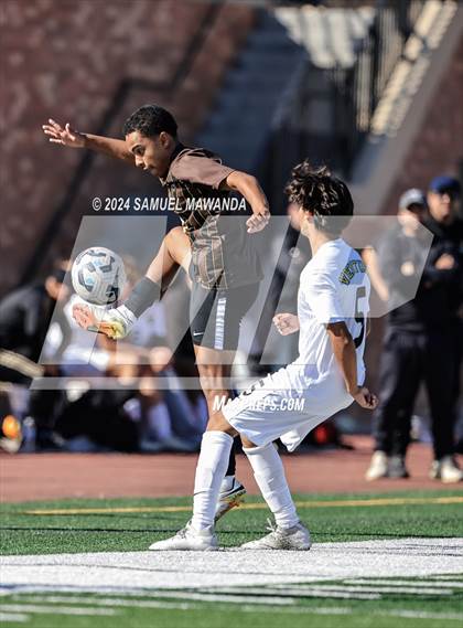 Thumbnail 1 in Crespi vs Ventura photogallery.