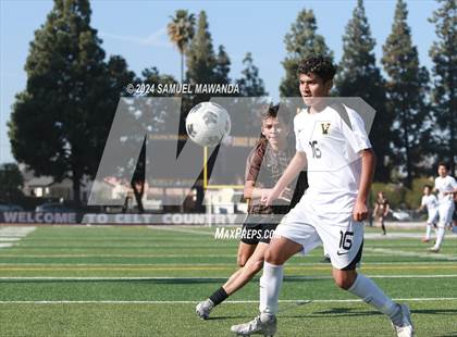 Thumbnail 2 in Crespi vs Ventura photogallery.