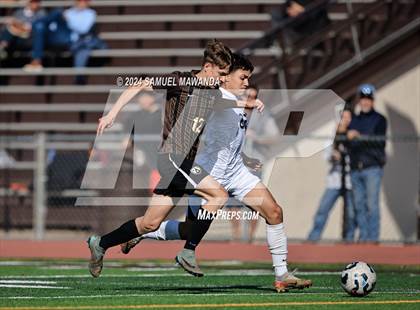 Thumbnail 3 in Crespi vs Ventura photogallery.
