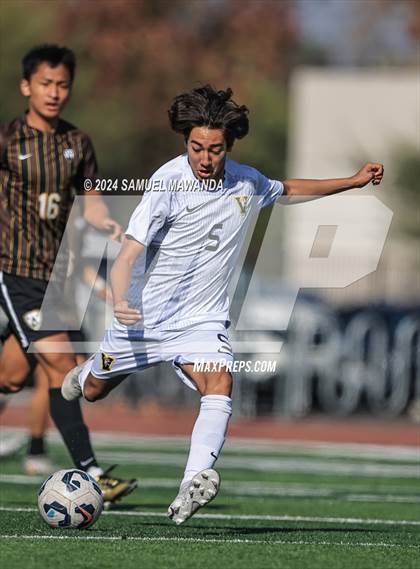 Thumbnail 1 in Crespi vs Ventura photogallery.