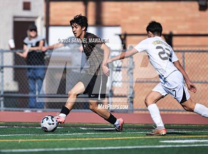 Thumbnail 3 in Crespi vs Ventura photogallery.