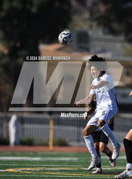 Thumbnail 2 in Crespi vs Ventura photogallery.