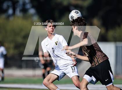 Thumbnail 1 in Crespi vs Ventura photogallery.