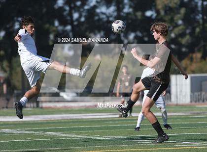 Thumbnail 3 in Crespi vs Ventura photogallery.
