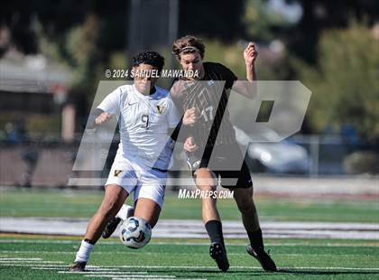 Thumbnail 3 in Crespi vs Ventura photogallery.