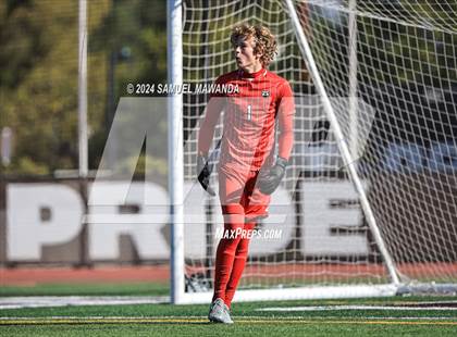 Thumbnail 2 in Crespi vs Ventura photogallery.