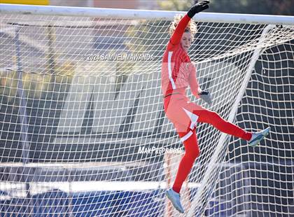 Thumbnail 1 in Crespi vs Ventura photogallery.