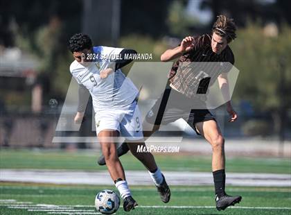 Thumbnail 2 in Crespi vs Ventura photogallery.