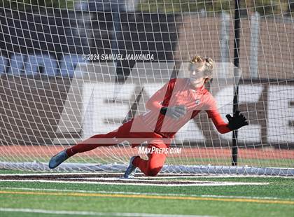 Thumbnail 1 in Crespi vs Ventura photogallery.