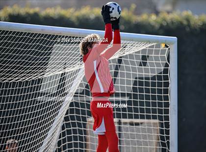 Thumbnail 1 in Crespi vs Ventura photogallery.
