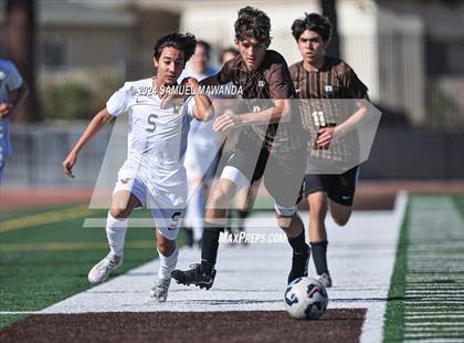 Thumbnail 3 in Crespi vs Ventura photogallery.