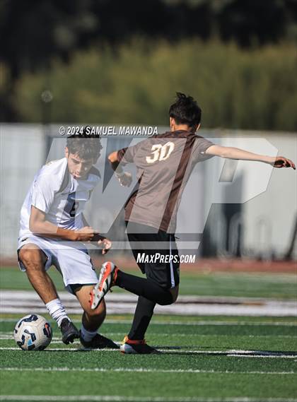 Thumbnail 3 in Crespi vs Ventura photogallery.